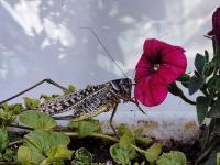 Они нашли друг друга