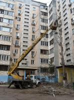 После обращения к главе администрации срочная опиловка прошла еще в одном дворе