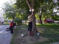 На общественных пространствах Астрахани обновляют освещение