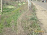 Общегородской субботник 29.04.2016 