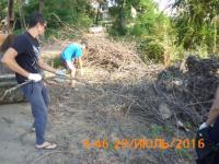 "День чистоты"