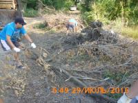 "День чистоты"