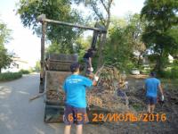 "День чистоты"