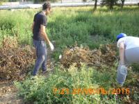 "День чистоты"