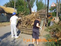 "День чистоты"