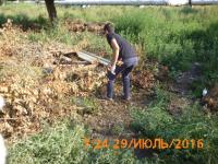 "День чистоты"