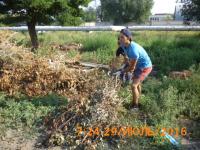 "День чистоты"