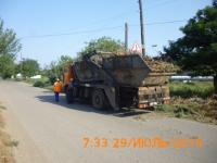 "День чистоты"