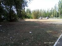 В рамках Дня чистоты.