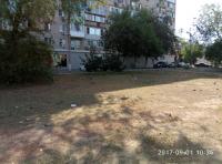 В рамках Дня чистоты.