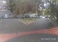 В рамках Дня чистоты.