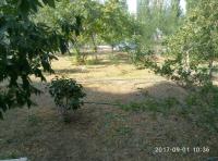 В рамках Дня чистоты.