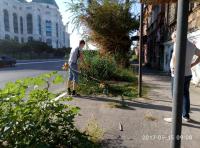 День чистоты