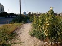 День чистоты