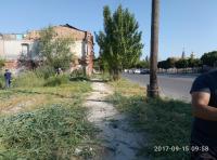 День чистоты