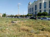 День чистоты