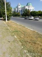 День чистоты