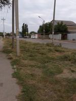 Обрезка деревьев. Скос сорной растительности. Установка детских площадок.