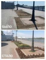 На Петровской набережной усилен полив