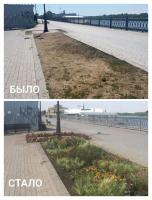 На Петровской набережной усилен полив