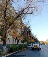 В выходные в Астрахани убрали 50 кг мусора из канализации и 57,5 тонн – с несанкционированных свалок