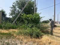 В Астрахани усилена работа по скосу сорной растительности