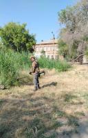 Улицы Астрахани усиленно зачищают от сорной растительности и камыша