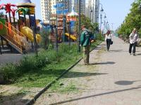 В Астрахани усилена работа по скосу сорной растительности