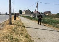 Улицы Астрахани усиленно зачищают от сорной растительности и камыша