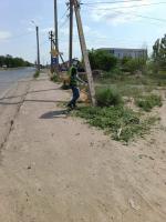 Улицы Астрахани усиленно зачищают от сорной растительности и камыша