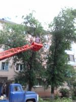 Коммунальным отделом администрации Ленинского района в период с 07.06.2016 по 16.06.2016 организованы мероприятия по удалению дождевой воды с улиц Ленинского района и уходные работы за зелеными насаждениями.