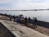 Астраханцы присоединились к Всероссийскому субботнику