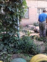 Коммунальным отделом администрации Ленинского района в период с 07.06.2016 по 16.06.2016 организованы мероприятия по удалению дождевой воды с улиц Ленинского района и уходные работы за зелеными насаждениями.