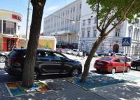 В городе появились необычные клумбы