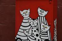 В Астрахани разрисовали электрощитки