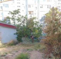 В сентябре в Астрахани скосили свыше 55 га сорной растительности