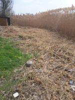 15.04.2016 силами сотрудников администрации Ленинского района, структурных подразделений администрации муниципального образования «Город Астрахань» и учащихся высших и средних заведений проведено мероприятие «День чистоты»