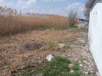 15.04.2016 силами сотрудников администрации Ленинского района, структурных подразделений администрации муниципального образования «Город Астрахань» и учащихся высших и средних заведений проведено мероприятие «День чистоты»