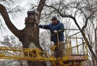 В Астрахани вешают новые скворечники