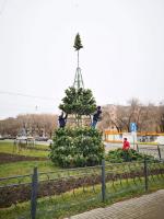 В Астрахани устанавливают новогодние елки
