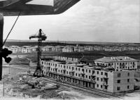 Историческая справка и статистическая информация