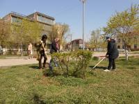 Общегородской субботник. 20.04.2013