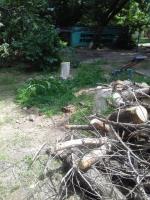 Коммунальным отделом администрации Ленинского района в период с 07.06.2016 по 16.06.2016 организованы мероприятия по удалению дождевой воды с улиц Ленинского района и уходные работы за зелеными насаждениями.