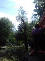 Коммунальным отделом администрации Ленинского района в период с 07.06.2016 по 16.06.2016 организованы мероприятия по удалению дождевой воды с улиц Ленинского района и уходные работы за зелеными насаждениями.