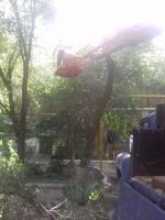 Коммунальным отделом администрации Ленинского района в период с 07.06.2016 по 16.06.2016 организованы мероприятия по удалению дождевой воды с улиц Ленинского района и уходные работы за зелеными насаждениями.