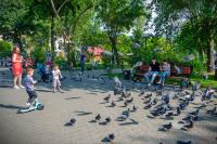 Теплый денек