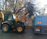 С двух улиц правобережья за полдня вывезли 56 кубометров сухих веток