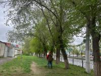 В Астрахани приступили к скосу сорной растительности