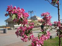 Весна на набережной