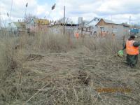 Уборка территории по ул. Воронихина.
